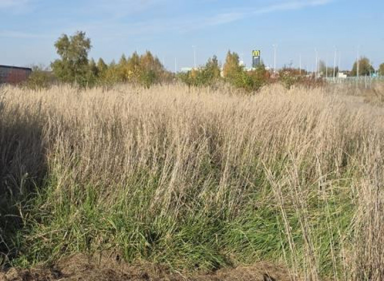 Działka Dąbrowa Górnicza Ujejsce Dąbrowa Górnicza