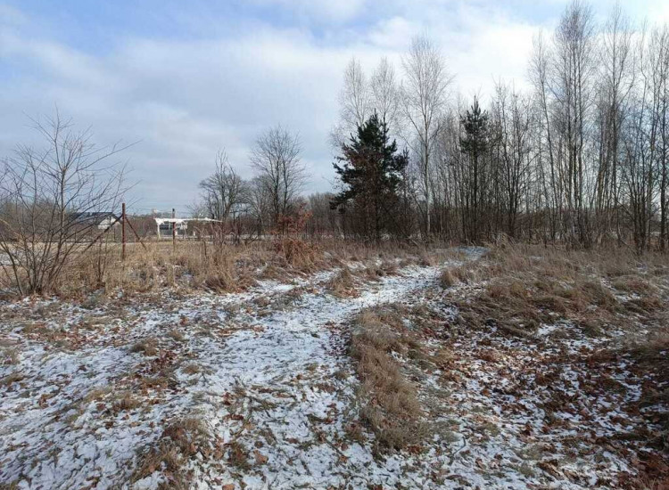 Konkurs ofert Chocianów