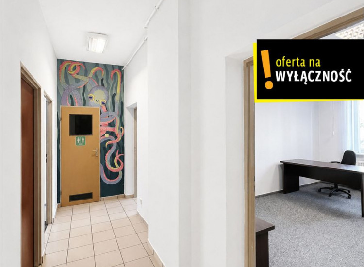 Lokal Kielce ul. Nowy Świat Kielce