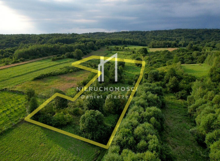 Działka Warzyce Warzyce