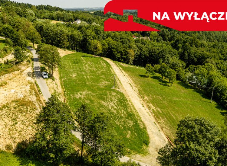 Działka 90 ar z Wz  Olszowa, TANIO ! Olszowa