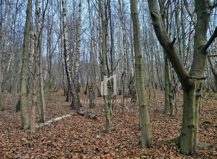 Działka Szufnarowa Szufnarowa