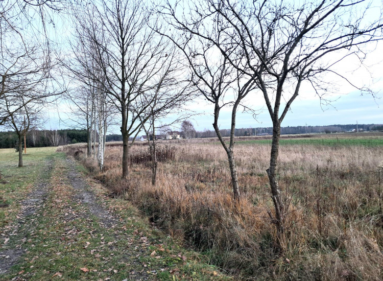 Działka Kaleń Drugi Kaleń Drugi