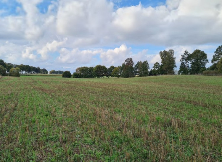 Działka Stary wiec Stary Brus