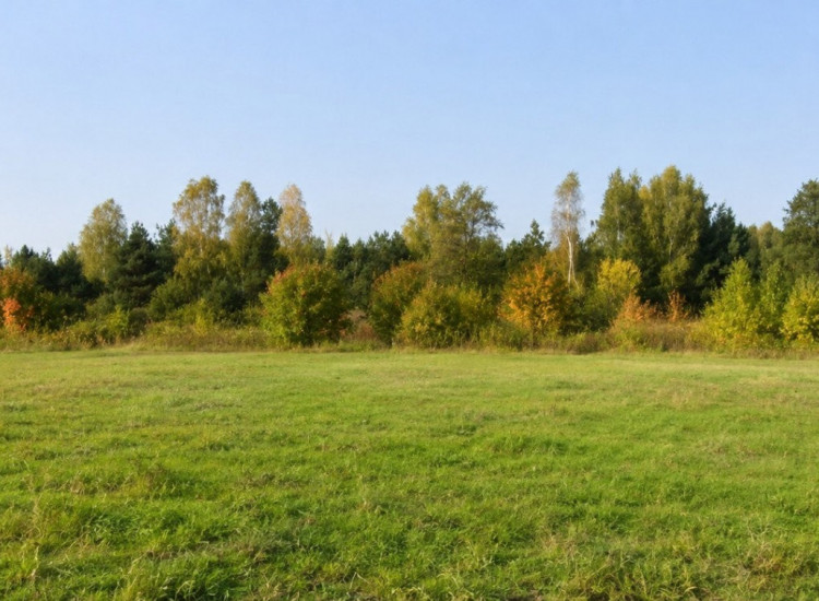 Działka z MPZP pod zabudowę 3931 m² – Wólka Radzymińska Kanie