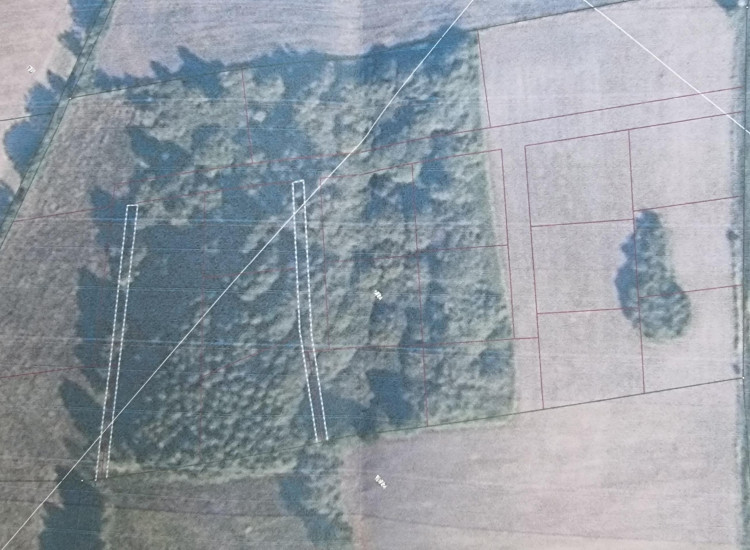 Działka Dziuplina Dziuplina