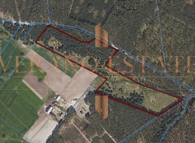 DZIAŁKA ROLNA/INWESTYCYJNA| 6,58HA |BLISKO JEZIORA Sierczynek