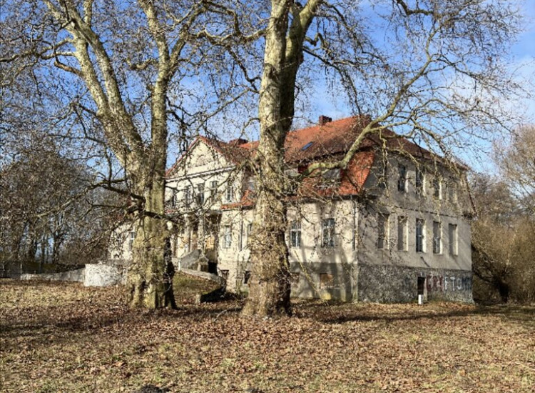 Na sprzedaż Pałac w Skórzynie! Skórzyno