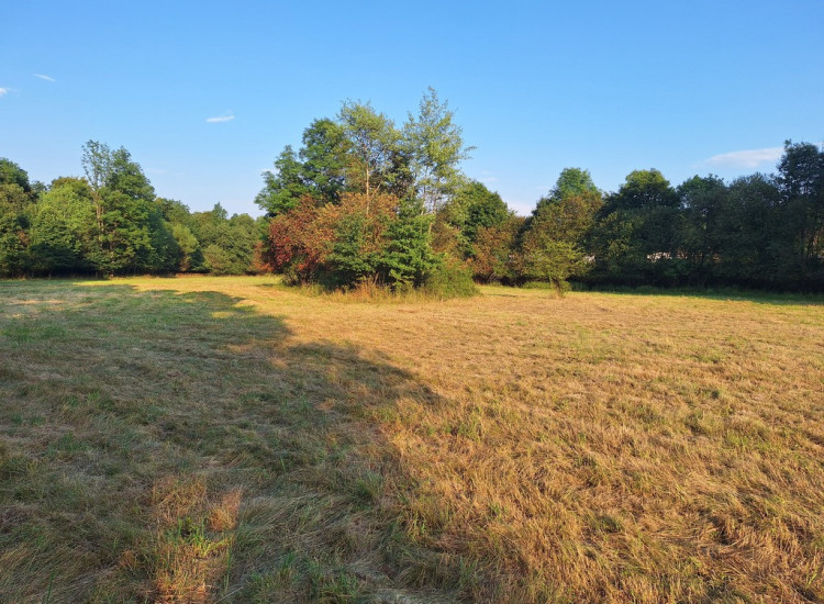 1950 m² działki w otoczeniu natury – Stryszawa Stryszawa