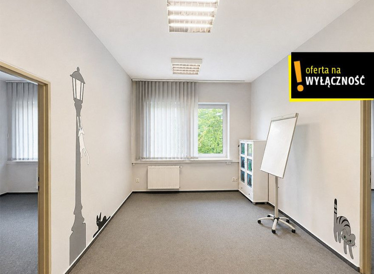 Lokal Kielce ul. Nowy Świat Kielce