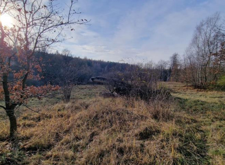 Działka Dąbrowa Górnicza Sikorka Dąbrowa Górnicza