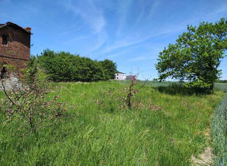 Działka Dzimierz Dzimierz