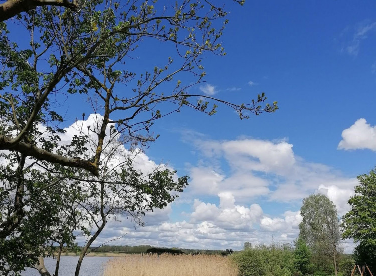 Działka Czarnowo Czarnowo