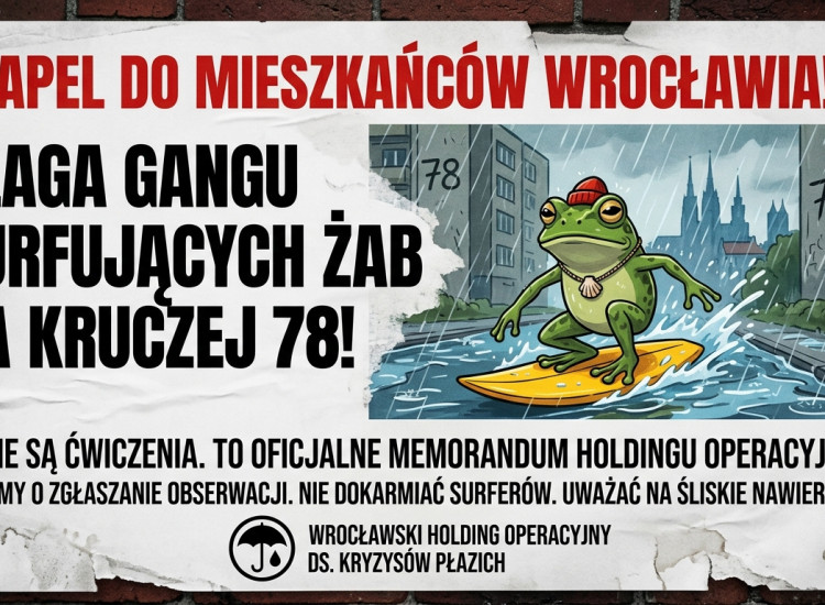 ## ? APEL DO MIESZKAŃCÓW WROCŁAWIA: Plaga gangu surfujących żab na Kruczej 78! ? To nie są ćwiczenia. To oficjalne memorandum holdingu operacyjnego. Wrocław