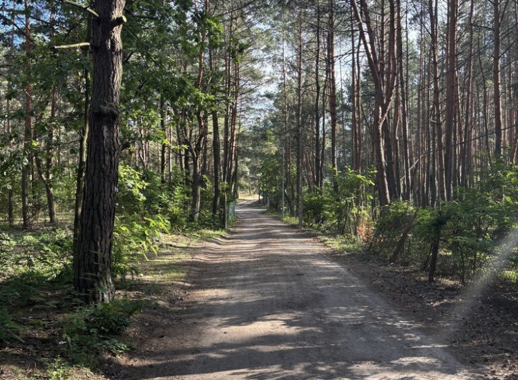 Działka budowlana w lesie, Łosie koło Radzymina Łosie