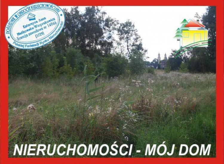 Działka Wiskitki Wiskitki