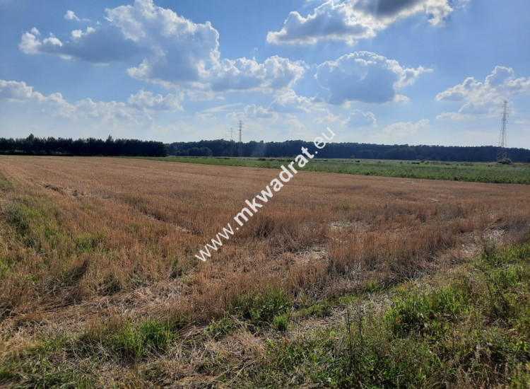 Niedroga działka przemysłowo/usługowa Nadarzyn Walendów