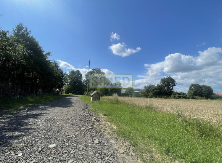 W otoczeniu blisko stawów ,lasu i rzeki .Tułowice Tułowice