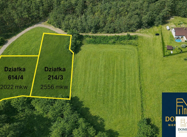 Działka Chojno-Wieś Chojno-Wieś
