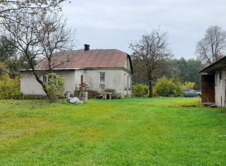 Siedlisko - spokojna wieś w przepięknej okolicy! Trzciniec