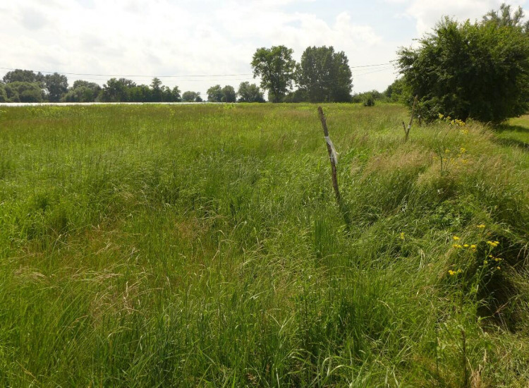 Działka Zofipole Zofipole