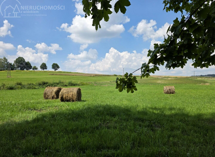 Działka Jodłowa Jodłowa