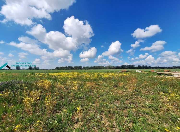 Działka Zaborówek ul. Stołeczna Zaborówek