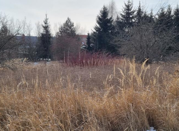 Działka Rusiec Rusiec