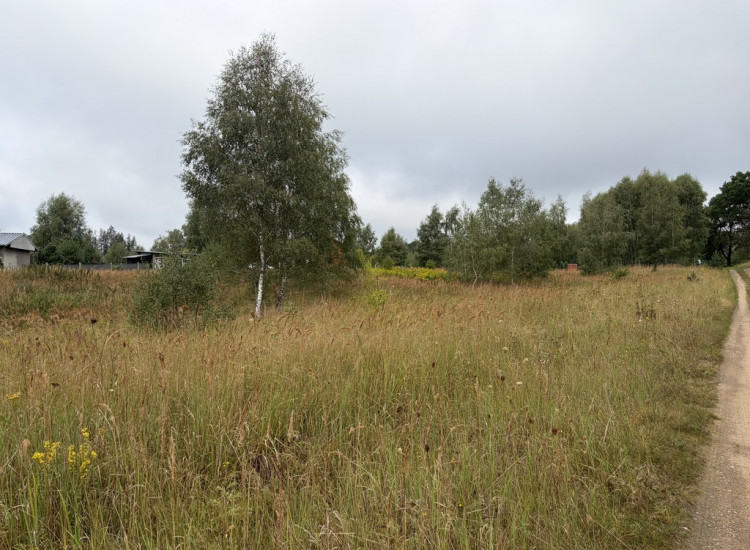 Działka rekreacyjna 3001 m² – Storkowo, gm. Ińsko Ińsko