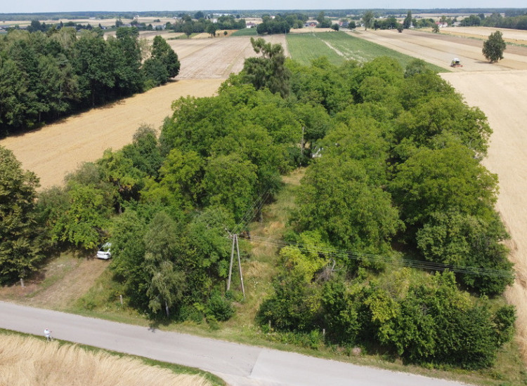 Działka 1,13 ha (starodrzew) 1,5 godz. od Warszawy Zamość Nowy