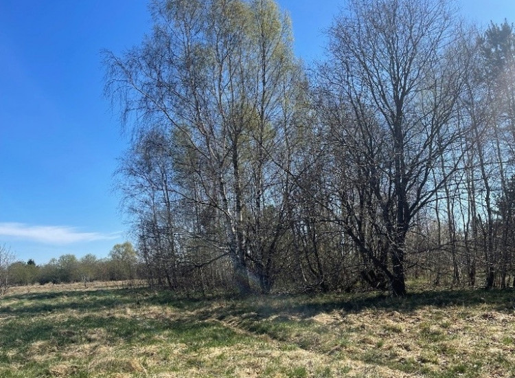 Działka Białogard, ul. Tadeusza Nalepy Białogard