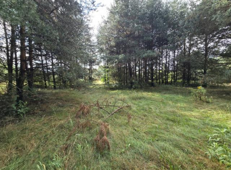 Działka Ożarowice Ożarowice