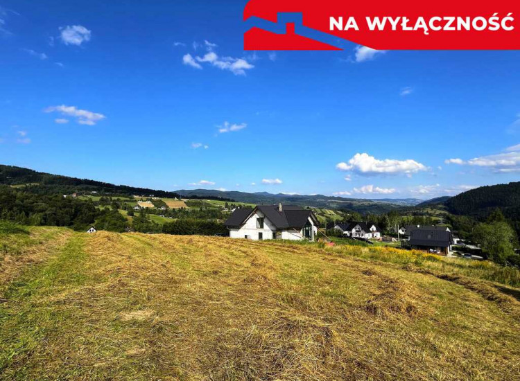 Działka z WZ | 5291 m2 | widok na Pieniny Grywałd