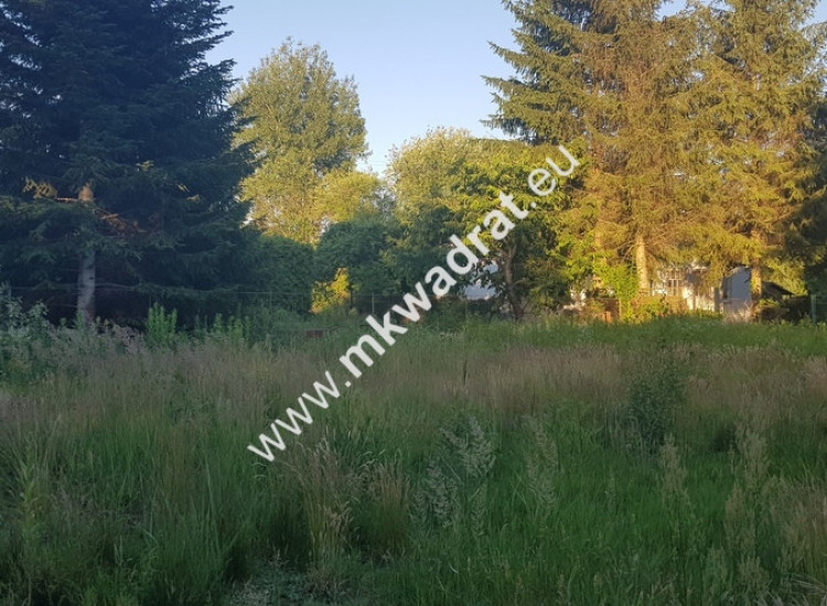 ⭐⭐⭐⭐  Blisko WKD  na dom 2 lokal Media 1600m2 ⭐⭐⭐⭐ Granica