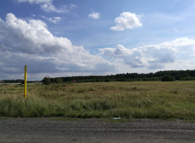 Konkurs ofert Polkowice