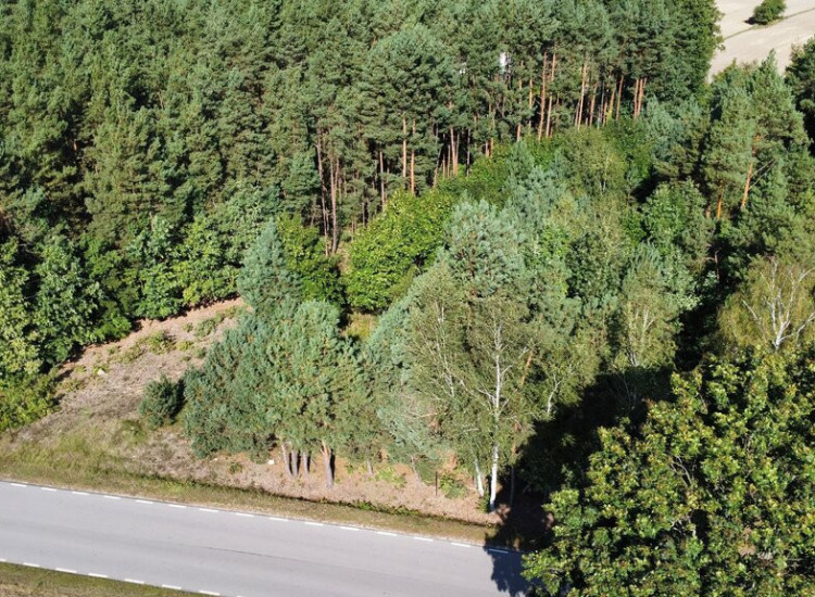 Działka z WZ 2100 m2 Szlachecki Las gm. Przyłęk... Szlachecki Las