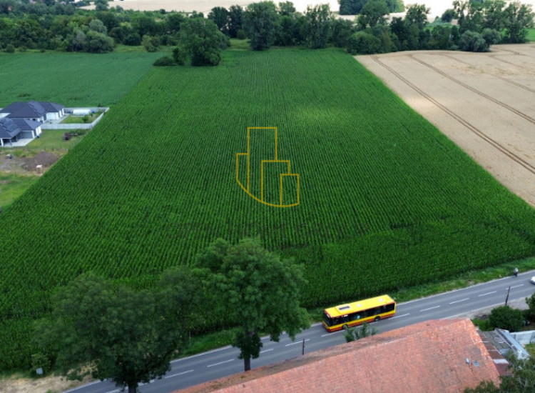 Szukalice, Żórawina, działka inwestycyjna 43,10 ha Szukalice