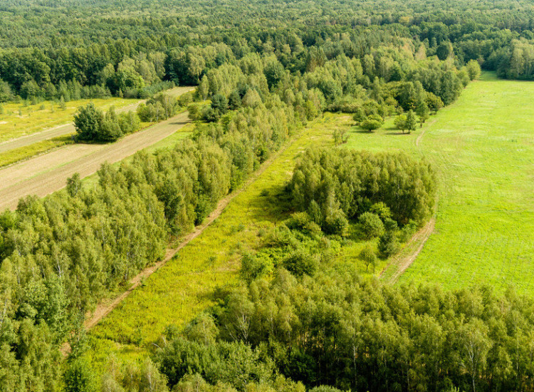 Działka rolna 71 arów Bidoliny Radłowskie Biadoliny Radłowskie