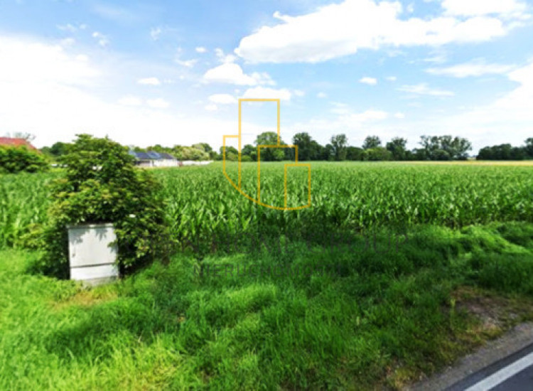 Szukalice, działka budowlana 43100 m2, media Szukalice