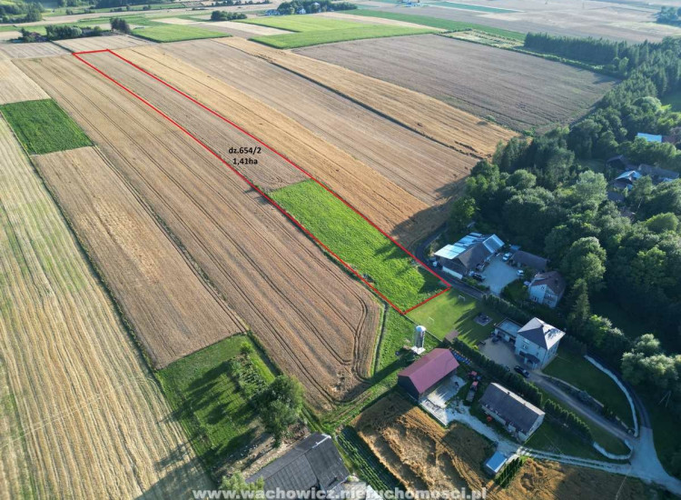 Działka rolna 1,41 ha - Rzeżuśnia, gmina Gołcza - www.wachowicz.nieruchomosci.pl Rzeżuśnia