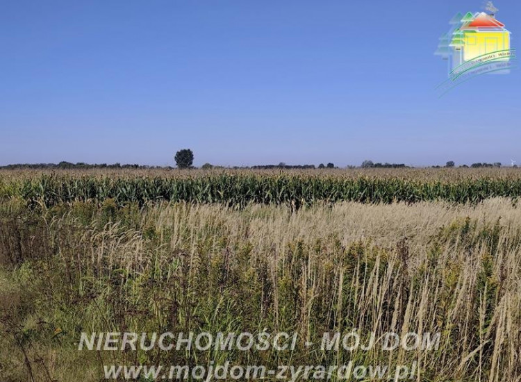 Działka Kamionka Kamionka