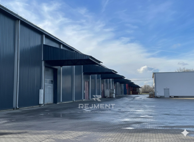 Hala 5000 m2 Wolbrom - Bez prowizji Wolbrom