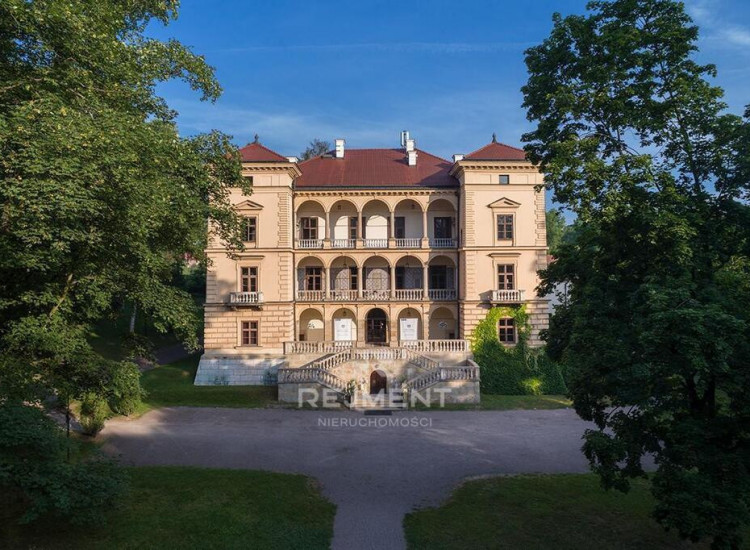 Restauracja w Willi Decjusza, Kraków
