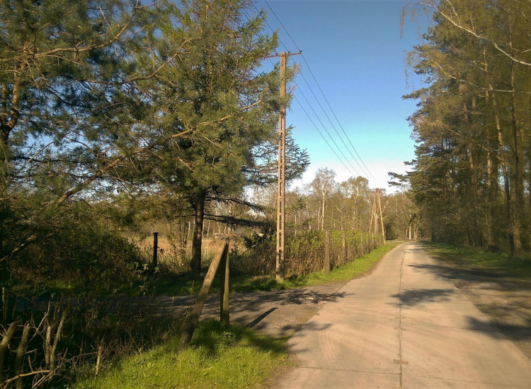 Działka Budzistowo ul. Stare Miasto Budzistowo