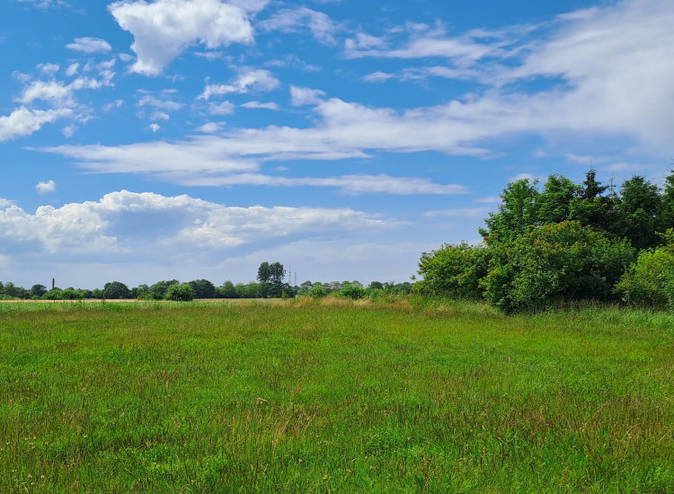 Działka Czernin Czernin