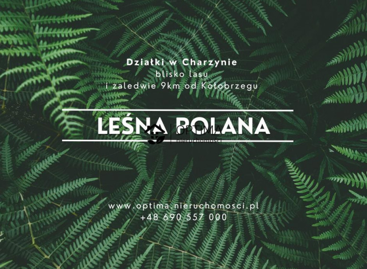 Działka Charzyno ul. Zacisze Charzyno