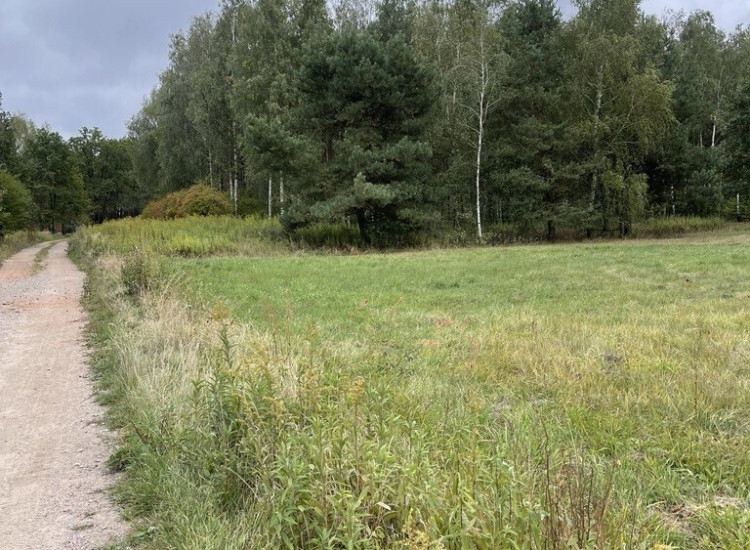 Działka inwestycyjna 7000 m² Sieraków k. Radzymina Sieraków