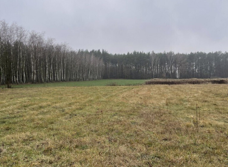 Działka bud. 4113 m² w Sierakowie koło Radzymina. Sieraków