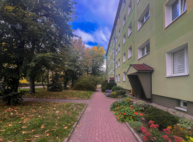 Mieszkanie Świdnica Świdnica
