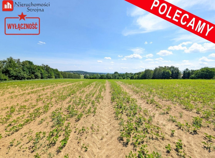 Działka Sławkowice Sławkowice